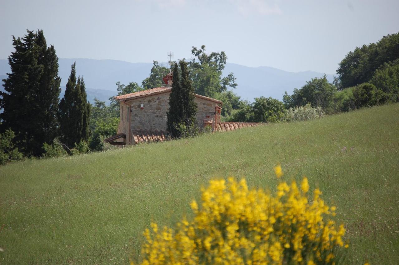 Il Podere Bellavista Montecatini Val di Cecina Exterior photo